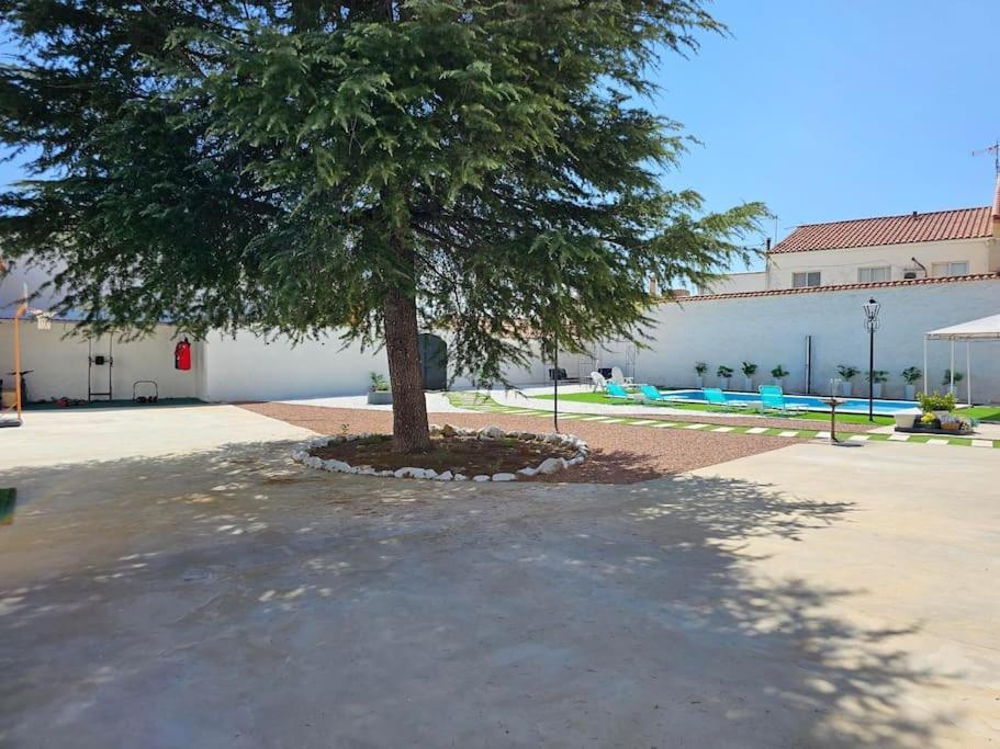La Casa Del Arbol Villa Fuentiduena de Tajo Buitenkant foto